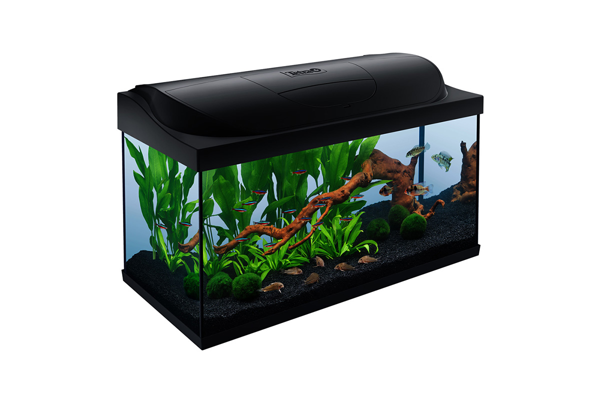 Tetra Tetra Starter Line Led 105, Kompletten + Led Világítással 16W, 75X40X35 Cm, Fekete